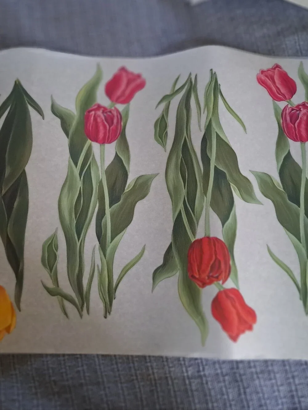 New QVC Tatouage Dry Rub Transfer Wall Art 14 Sheets Floral Butterfly Fence